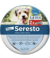 Protect petits chiens d'occasion  France