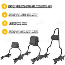 Detachable passenger sissy for sale  USA