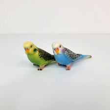 parakeets green blue for sale parakeets green blue for sale Tinley Park