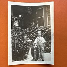 FOTO VINTAGE criança com lindo collie áspero, flores de cachorro Instantâneo Original comprar usado  Enviando para Brazil