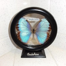 Vintage framed blue for sale  Tampa