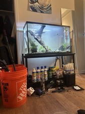 Established gal tank for sale  Philadelphia