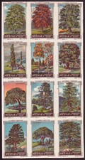 12 Chromos, images " Nestlé " Les arbres forestiers comprar usado  Enviando para Brazil