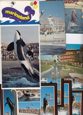 Marineland the pacific d'occasion  Expédié en Belgium
