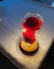 Beleuchtete seiden rose gebraucht kaufen Beleuchtete seiden rose gebraucht kaufen  Amelinghausen