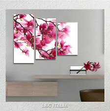 Fiori pesco quadro usato  Giarre