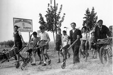 Ww2 jeunes français d'occasion  Saint-Pierre-Église