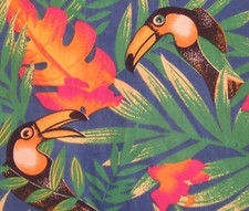 Blue generation toucan for sale  San Jose
