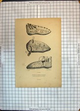 Original old antique for sale  UK