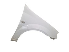 Kotflügel 369 ice gebraucht kaufen Kotflügel 369 ice gebraucht kaufen  Bad Nauheim