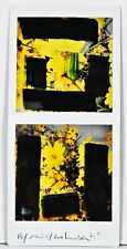 Galimberti maurizio biflowers usato  Villachiara
