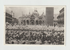 Venezia cartolina piccioni usato  Cirie