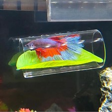 Betta bett rastrohr gebraucht kaufen  Euskirchen