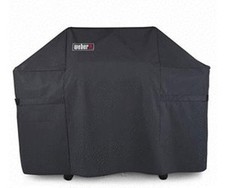 Display weber premium gebraucht kaufen  Tettnang