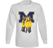 Fab five basketball for sale  Buffalo