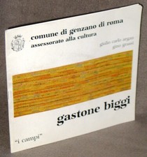 Gastone biggi campi usato  Torino