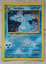 Feraligatr set neo usato  Valenza