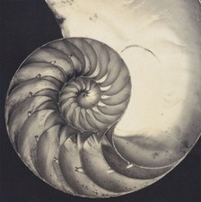 nautilus comprar usado nautilus comprar usado Enviando para Brazil