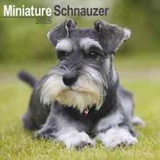 Calendrier 2025 schnauzer d'occasion  Troyes