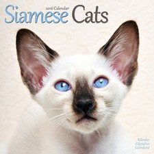 Calendrier 2016 chats d'occasion  Troyes