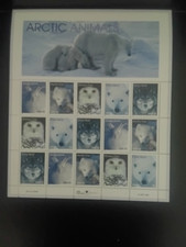 B109 arctic animals for sale  BARNSLEY