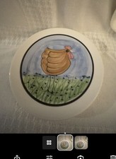 Chicken plate chick for sale  Hartselle