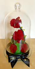 Endura rose roses for sale  MANCHESTER