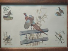 Vintage eckelberry art for sale  Granger