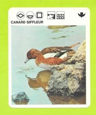 Fiche livre paris d'occasion  Nancy-