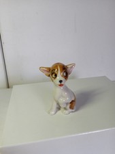 Wade pepi chihuahua for sale Wade pepi chihuahua for sale  DERBY