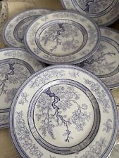 Antico set piatti usato  Cesate