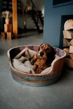 Oak wine barrel for sale  HAVERFORDWEST
