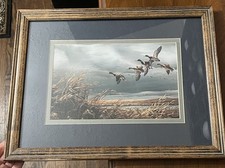 Mallard duck framed for sale  Barberton