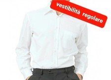 Camicia lavoro ufficio usato  Napoli