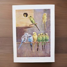 Antique 1920s budgie for sale  BASINGSTOKE