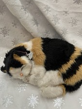Perfect petzzz pets for sale  North Charleston