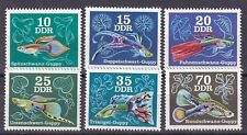 Briefmarken ddr zierfische gebraucht kaufen  Kerpen