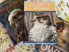 Falconry books for sale  AXMINSTER