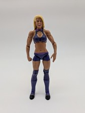 2010 wwf wwe for sale  Lodi