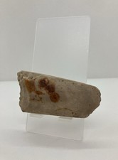 Beautiful polished neolithic d'occasion  Expédié en Belgium
