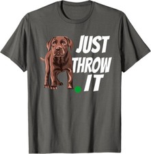 Chocolate labrador retriever for sale  Amityville