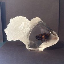 Kitty cantrell thunder for sale  Concrete
