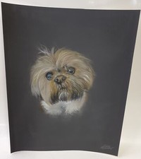 Pastel drawing shaggy for sale  ROMFORD