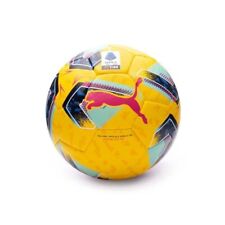 Puma pallone calcio usato  Rionero in Vulture