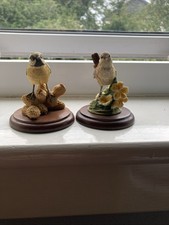 Garden guests border for sale  DUMFRIES