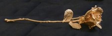 Living rose dipped for sale  Grapeland