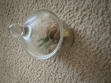 Vintage miniature dried for sale  Appleton