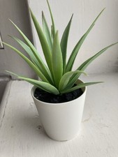 plastic outdoor plants for sale plastic outdoor plants for sale ISLE OF BUTE