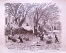 Gravure ferat récolte d'occasion  Martigues