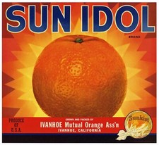 Sun idol vintage for sale  Chico